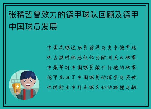 张稀哲曾效力的德甲球队回顾及德甲中国球员发展