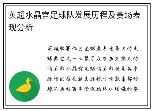 英超水晶宫足球队发展历程及赛场表现分析