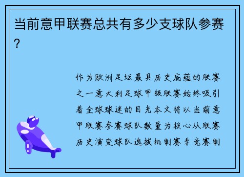 当前意甲联赛总共有多少支球队参赛？