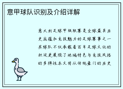 意甲球队识别及介绍详解